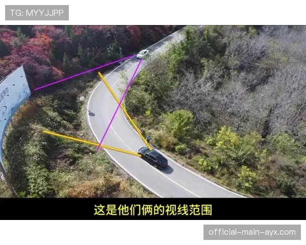 顶级选手的视野掌控：他是如何通过布点覆盖全图盲区的