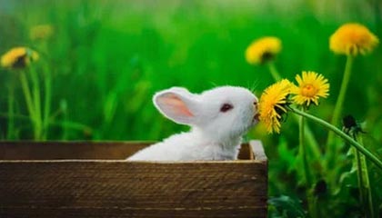 爱游戏娱乐平台-亚洲杯赛程出炉中国男篮小组对手实力强劲，亚洲杯男篮比赛时间