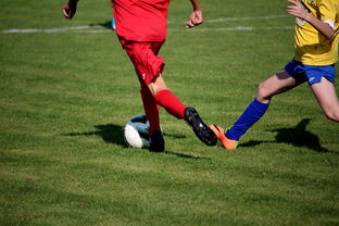 AYX体育-国家队与俱乐部之间协调机制为何不顺畅，国家队比赛和俱乐部比赛冲突